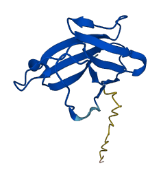 TRAV14DV4 3D structure