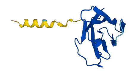 TRBV6-8 3D structure