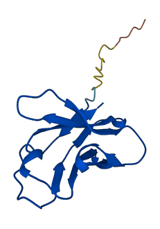 TRAV8-3 3D structure