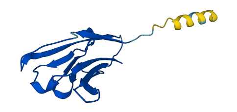 TRAV8-1 3D structure