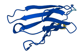 TRAV19 3D structure