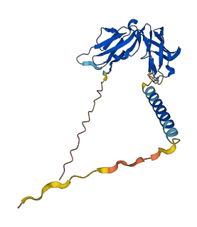 Fcgr4 3D structure
