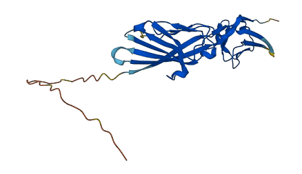 Ceacam15 3D structure