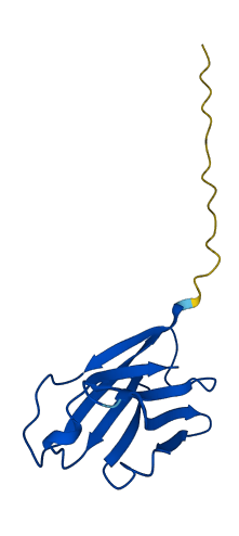IGHV6-1 3D structure
