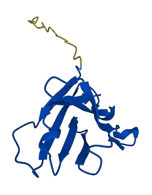 IGHV3-15 3D structure