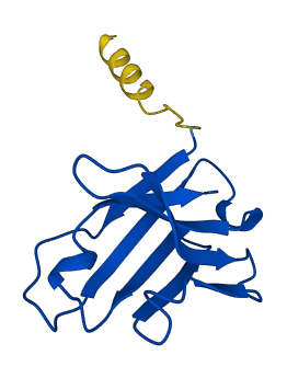 IGHV3-21 3D structure