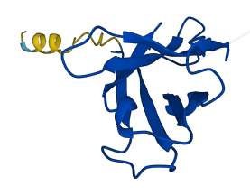 IGHV2-26 3D structure