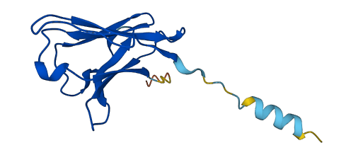 IGLV9-49 3D structure