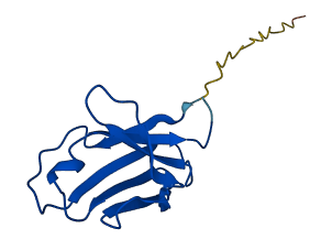 IGKV1D-43 3D structure