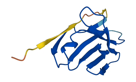 TRAV1-2 3D structure