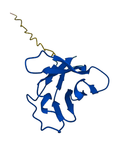 TRAV3 3D structure