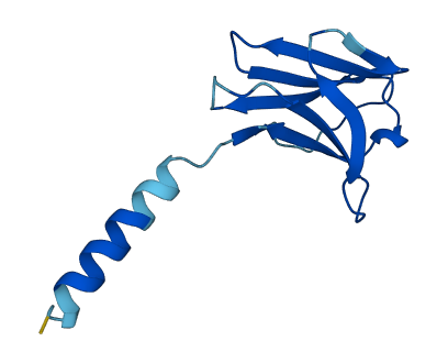 TRAV12-1 3D structure