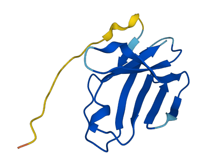 TRAV1-1 3D structure