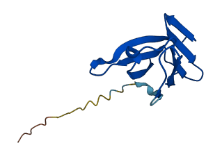 TRAV5 3D structure