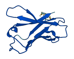 TRAV38-1 3D structure