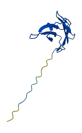 TRAV26-2 3D structure