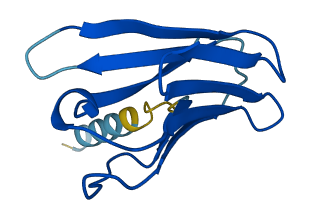 TRAV34 3D structure