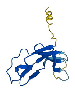 TRAV40 3D structure