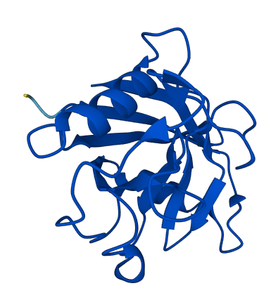 PPIAL4C 3D structure