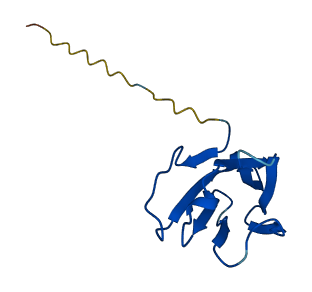TRBV12-4 3D structure