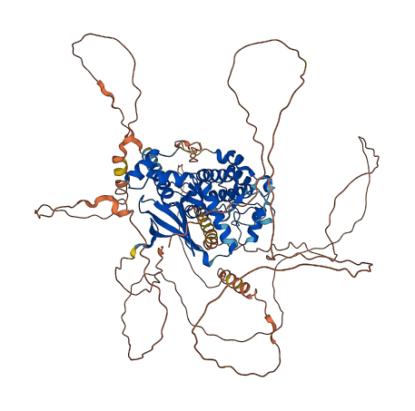 SIK1B 3D structure