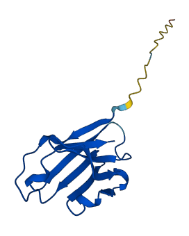 IGHV1-69D 3D structure