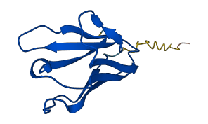IGKV6-21 3D structure