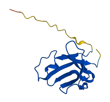 IGKV3D-20 3D structure