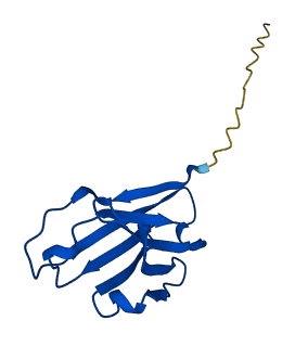 IGHV1-3 3D structure