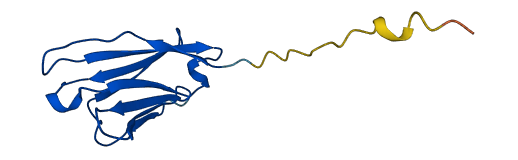 IGHV1-24 3D structure