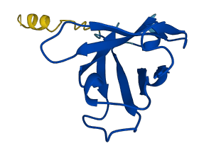 IGHV4-28 3D structure