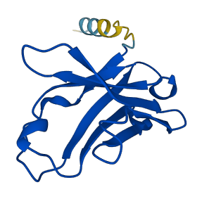 IGHV5-51 3D structure