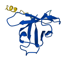 IGHV4-61 3D structure
