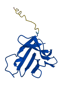 IGHV3-66 3D structure