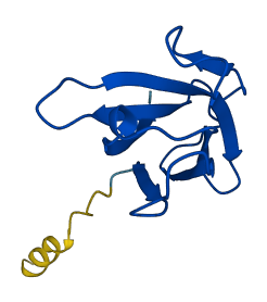 IGHV2-70D 3D structure