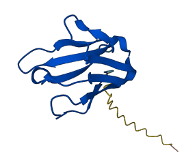 IGKV3D-7 3D structure