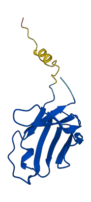 IGKV1-9 3D structure