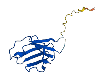 IGKV1-6 3D structure