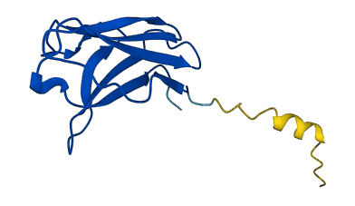 IGKV1-12 3D structure