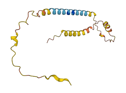 CCDC163 3D structure