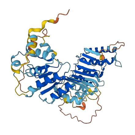 PRAMEF33 3D structure