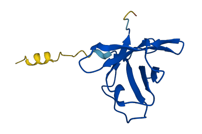 IGLV5-39 3D structure