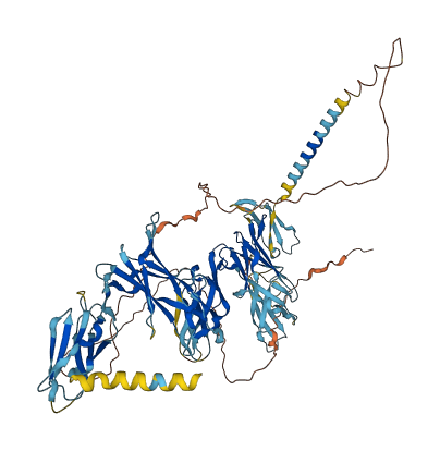 Lilrb3l 3D structure