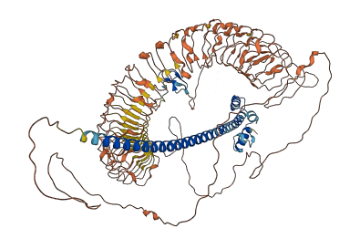 TEX13C 3D structure