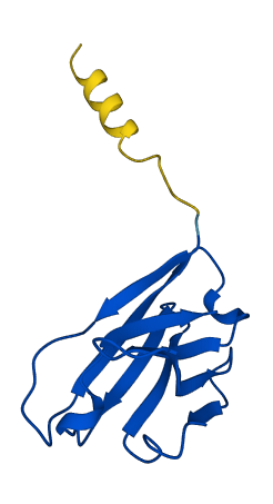 IGHV3-64D 3D structure