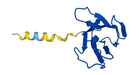 TRBV6-9 3D structure