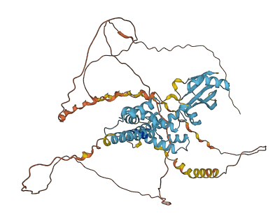 PNMA6F 3D structure