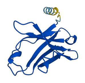 IGHV5-10-1 3D structure