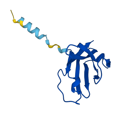 TRBV27 3D structure