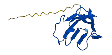 TRBV7-7 3D structure
